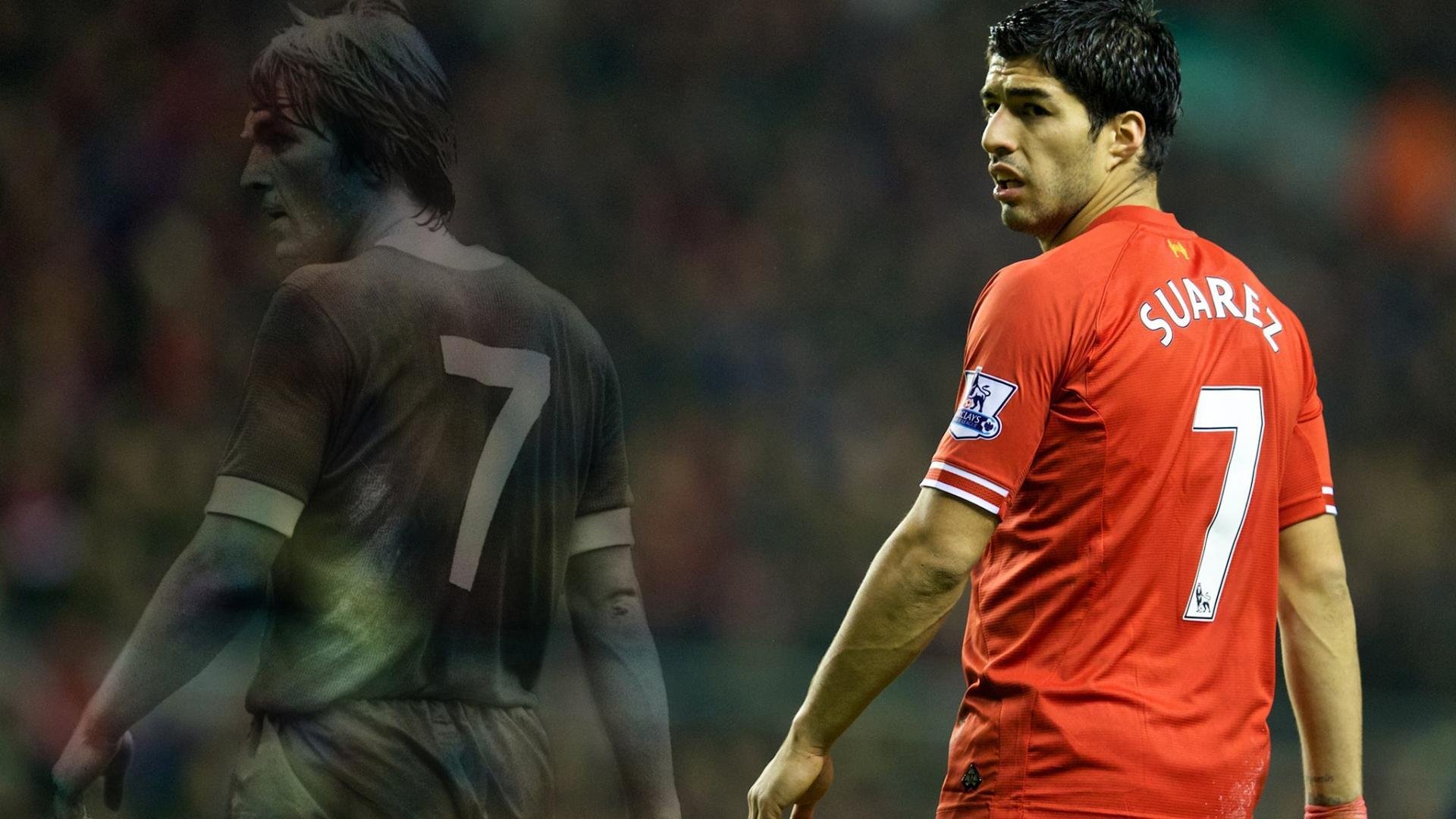  哈兰德个人简介 